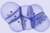 Quantum atoms appearing in the N8 molecule.