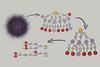 An image showing the graphical abstract