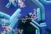 An illustration showing antibody-drug conjugates