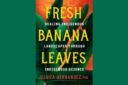 A cover of the book that features a drawing of large green leaves on an orange background. Over the top of the image, large captial letters spell out 'Fresh Banana Leaves'