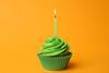 Birthday cupcake
