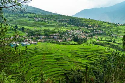 A village in the mountains of India surrounded by terraced farmland